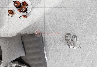Gạch Ốp Lát APODIO 66265001